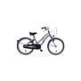 Fiets Alpina Ocean M20