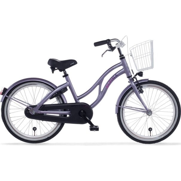 ALPINA Fiets Alpina Ocean M20