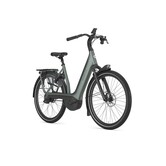 AVIGNON C380+ L53 TWILIGHT GREEN