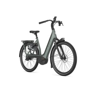 AVIGNON C380+ L53 TWILIGHT GREEN