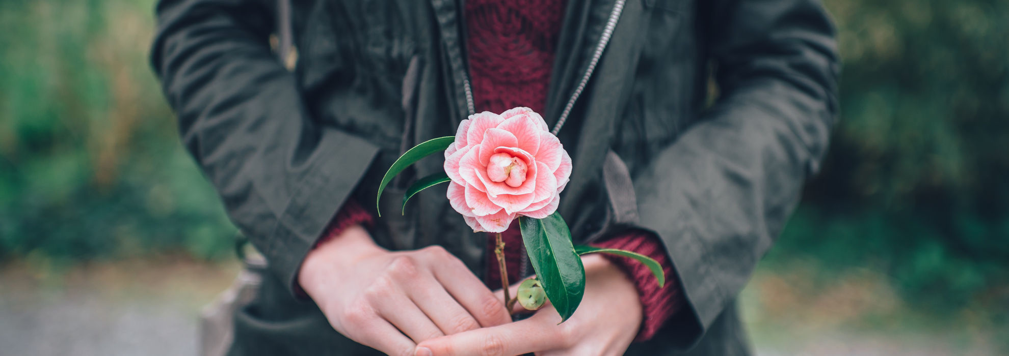 Gesunde Darmflora durch Probiotika