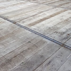 Steenschotten Lariks Per Stuk