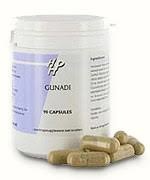 Holisan Holisan Gunadi (90 Caps)