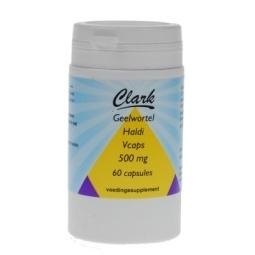 Holisan Haldi / Kurkuma 500 mg (60 Caps)