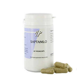 Holisan Saptamlo (60 Caps)