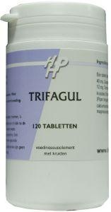 Holisan Holisan Trifagul (120 Tabletten)