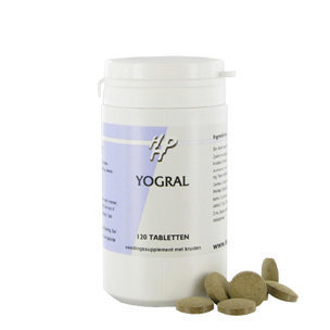 Holisan Holisan Yogral (120 Tabletten)