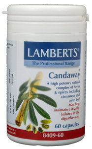 Lamberts Lamberts Candaway (60 Tabletten)