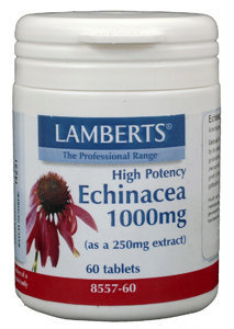 Lamberts Lamberts Echinacea 1000 mg mit Zink und Vitamin C (60 Tabletten)