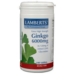 Lamberts Ginkgo 6000 (180 Tabletten)