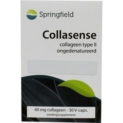 Springfield Collasense (30 Vegetarische Kapseln)