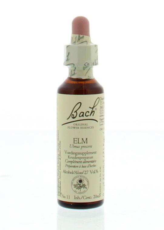 Bach Ulme/Ulme (20 Ml)