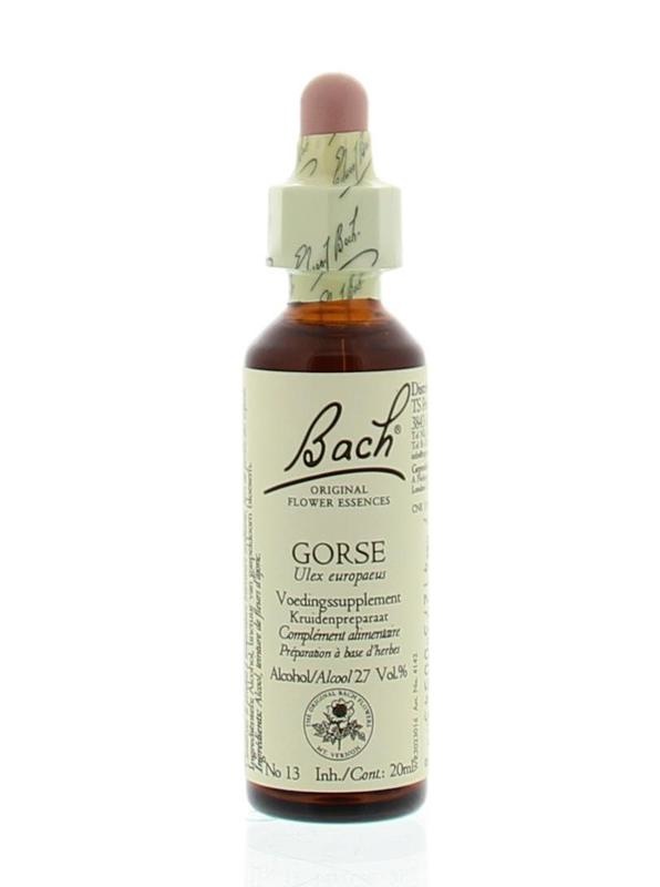 Bach Ginster / Ginster (20 Ml)