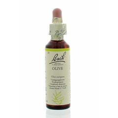 Bach Olive / Olive (20 ml)