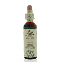 Bach Bach Walnuss / Walnuss (20 Ml)