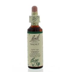 Bach Walnuss / Walnuss (20 ml)