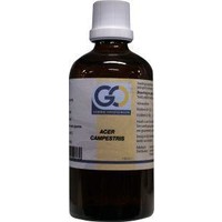 GO GO Acer campestris bio (100 Ml)