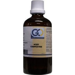 GO Acer campestris bio (100 ml)