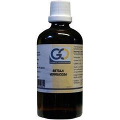 GO Betula verrucosa bio (100 ml)