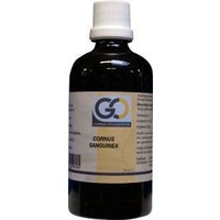 GO GO Cornus Sanguinea (100 ml)