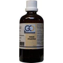 GO Fagus sylvatica Bio (100 ml)