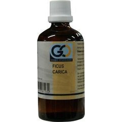 GO Ficus carica bio (100 ml)