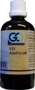 GO Ilex aquafolium (100 Ml)
