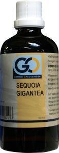 GO GO Sequoia gigantea bio (100 Ml)