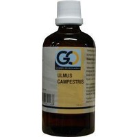GO GO Ulmus campestris bio (100 Ml)