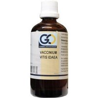 GO GO Vaccinum vitis idaea bio (100 Ml)