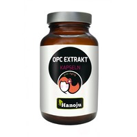 Hanoju Hanoju OPC Traubenkernextrakt 500mg (90 Caps)