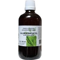 Natura Sanat Natura Sanat Acorus calamus / Kalmuswurzeltinktur bio (100 ml)