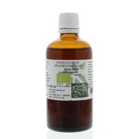 Natura Sanat Natura Sanat Allium ursinum / Bärlauch-Tinktur bio (100 Ml)