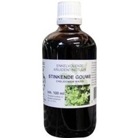 Natura Sanat Natura Sanat Chelidonium majus / Schöllkrauttinktur bio (100 Ml)