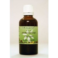 Natura Sanat Natura Sanat Eucalyptus globulus folia Tinktur (50 Ml)