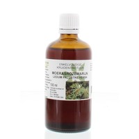 Natura Sanat Natura Sanat Ledum palustre / Sumpf-Rosmarin-Tinktur (100 ml)