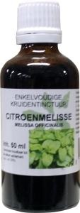 Natura Sanat Melissa officinalis Kraut / Zitronenmelisse Tinktur (50 Ml)