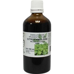 Natura Sanat Melissa officinalis Kraut / Zitronenmelisse Tinktur (100 ml)