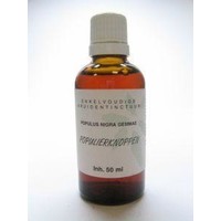 Natura Sanat Natura Sanat Pappelknospen-Tinktur (50 Ml)