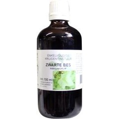 Natura Sanat Ribes nigrum / Schwarze Johannisbeer-Tinktur bio (100 ml)