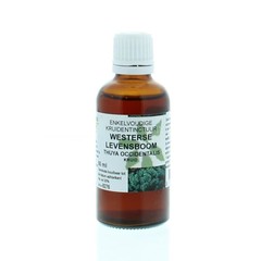 Natura Sanat Thuja occidentalis / Arborvitae Tinktur (50 ml)