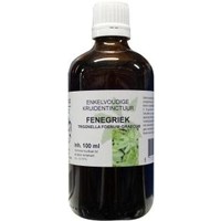 Natura Sanat Natura Sanat Trigonella foen gr / Bockshornklee-Tinktur bio (100 Ml)