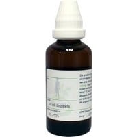 VSM VSM Avena sativa D1 (50Ml)