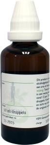 VSM VSM Berberitze vulgaris D1 (50 ml)