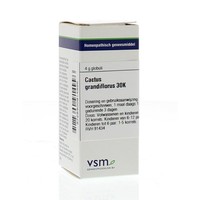 VSM VSM Kaktus grandiflorus 30K (4 gr)