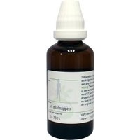 VSM VSM Echinacea pallida primal (50 ml)