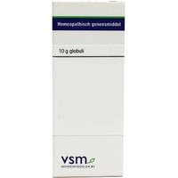 VSM VSM Ginkgo biloba D12 (10 gr)