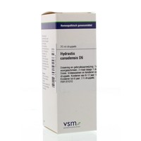 VSM VSM Hydrastis canadensis D6 (20 Ml)