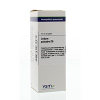 VSM VSM Ledum palustre D6 (20 ml)