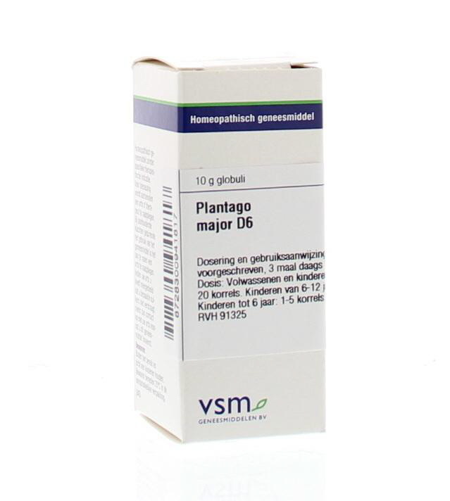 VSM VSM Plantago major D6 (10 gr)